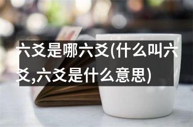 六爻是哪六爻(什么叫六爻,六爻是什么意思)