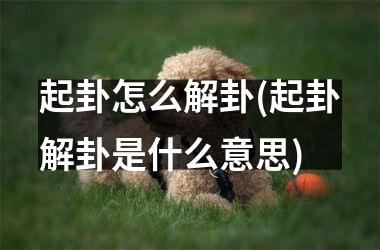 起卦怎么解卦(起卦解卦是什么意思)
