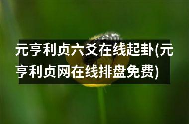元亨利贞六爻在线起卦(元亨利贞网在线排盘免费)