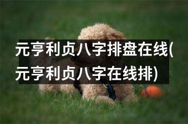 <h3>元亨利贞八字排盘在线(元亨利贞八字在线排)