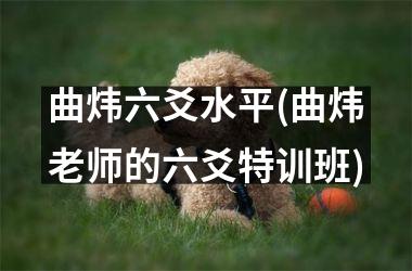 <h3>曲炜六爻水平(曲炜老师的六爻特训班)
