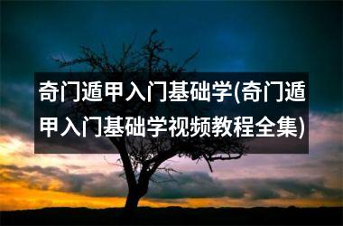 <h3>奇门遁甲入门基础学(奇门遁甲入门基础学教程全集)