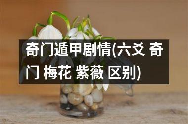 奇门遁甲剧情(六爻 奇门 梅花 紫薇 区别)