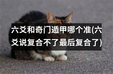 <h3>六爻和奇门遁甲哪个准(六爻说复合不了最后复合了)
