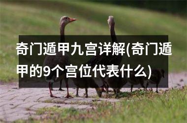 <h3>奇门遁甲九宫详解(奇门遁甲的9个宫位代表什么)