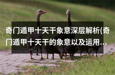 <h3>奇门遁甲十天干象意深层解析(奇门遁甲十天干的象意以及运用)