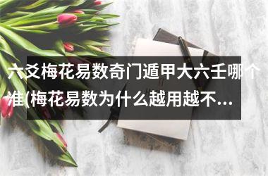 六爻梅花易数奇门遁甲大六壬哪个准(梅花易数为什么越用越不准)