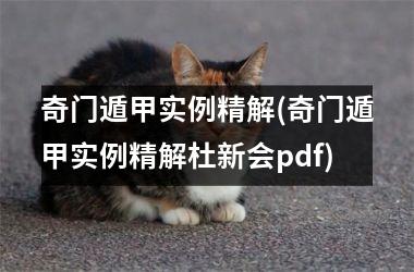 <h3>奇门遁甲实例精解(奇门遁甲实例精解杜新会pdf)