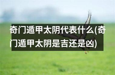 奇门遁甲太阴代表什么(奇门遁甲太阴是吉还是凶)