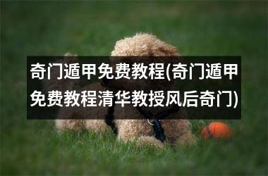 <h3>奇门遁甲免费教程(奇门遁甲免费教程清华教授风后奇门)