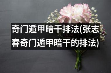 <h3>奇门遁甲暗干排法(张志春奇门遁甲暗干的排法)