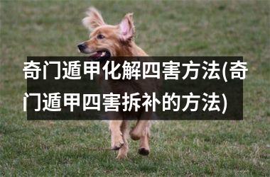 <h3>奇门遁甲化解四害方法(奇门遁甲四害拆补的方法)