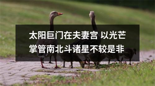 <h3>太阳巨门在夫妻宫以光芒掌管南北斗诸星不较是非