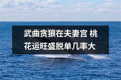 <h3>武曲贪狼在夫妻宫桃花运旺盛脱单几率大