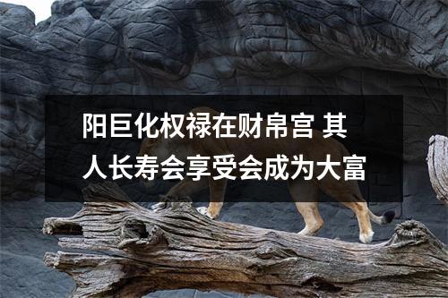 阳巨化权禄在财帛宫其人长寿会享受会成为大富