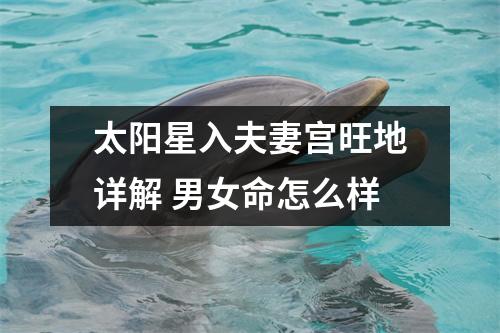 <h3>太阳星入夫妻宫旺地详解男女命怎么样