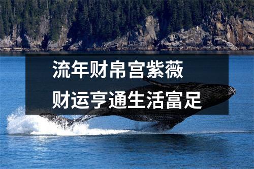 <h3>流年财帛宫紫薇财运亨通生活富足