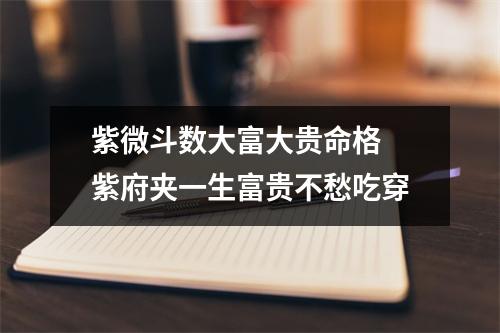 <h3>紫微斗数大富大贵命格紫府夹一生富贵不愁吃穿