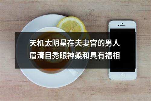 <h3>天机太阴星在夫妻宫的男人眉清目秀眼神柔和具有福相