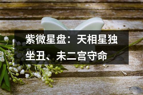<h3>紫微星盘：天相星独坐丑、未二宫守命