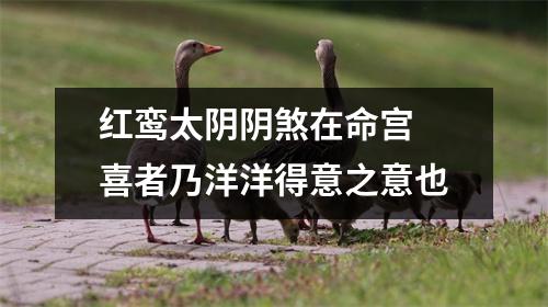 红鸾太阴阴煞在命宫喜者乃洋洋得意之意也