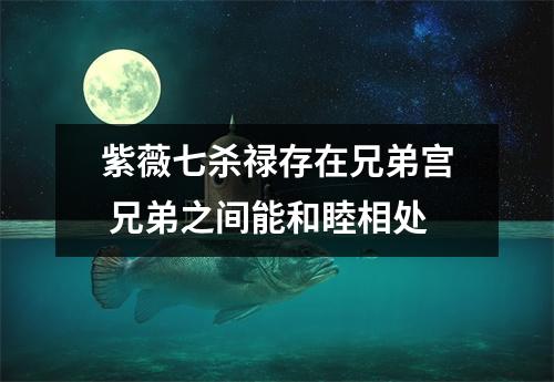 <h3>紫薇七杀禄存在兄弟宫兄弟之间能和睦相处