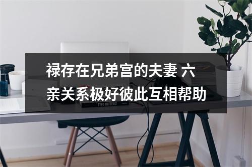 <h3>禄存在兄弟宫的夫妻六亲关系极好彼此互相帮助