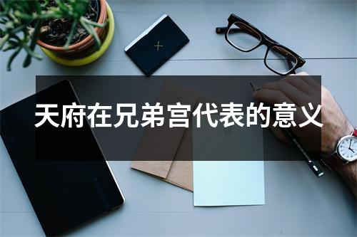 <h3>天府在兄弟宫代表的意义