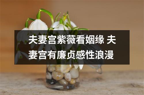 <h3>夫妻宫紫薇看姻缘夫妻宫有廉贞感性浪漫