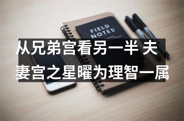 <h3>从兄弟宫看另一半 夫妻宫之星曜为理智一属