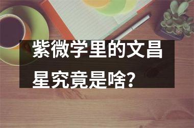 <h3>紫微学里的文昌星究竟是啥？