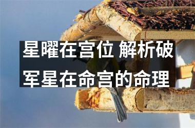 <h3>星曜在宫位 解析破军星在命宫的命理
