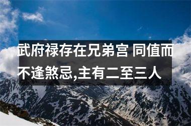<h3>武府禄存在兄弟宫 同值而不逢煞忌,主有二至三人