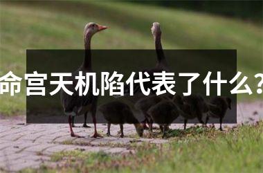 <h3>命宫天机陷代表了什么？
