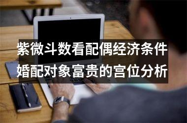 <h3>紫微斗数看配偶经济条件 婚配对象富贵的宫位分析