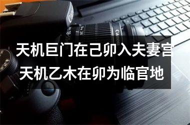 <h3>天机巨门在己卯入夫妻宫 天机乙木在卯为临官地