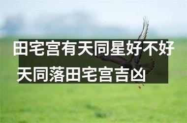 <h3>田宅宫有天同星好不好 天同落田宅宫吉凶