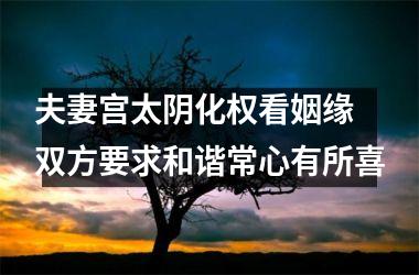 <h3>夫妻宫太阴化权看姻缘 双方要求和谐常心有所喜