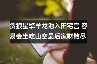 贪狼星擎羊龙池入田宅宫 容易会坐吃山空后家财散尽