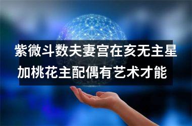 紫微斗数夫妻宫在亥无主星 加桃花主配偶有艺术才能