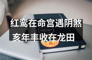 <h3>红鸾在命宫遇阴煞 亥年丰收在龙田