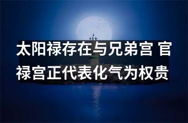 太阳禄存在与兄弟宫 官禄宫正代表化气为权贵