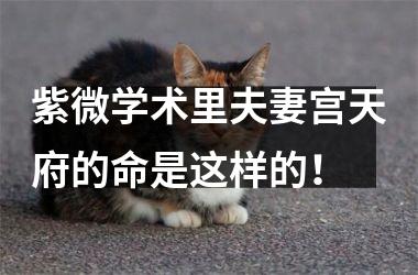 <h3>紫微学术里夫妻宫天府的命是这样的！