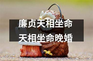廉贞天相坐命 天相坐命晚婚