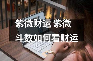 紫微财运 紫微斗数如何看财运