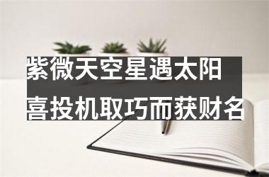 <h3>紫微天空星遇太阳 喜投机取巧而获财名