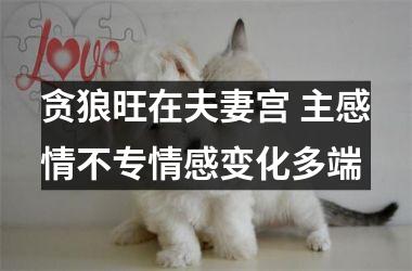 <h3>贪狼旺在夫妻宫 主感情不专情感变化多端