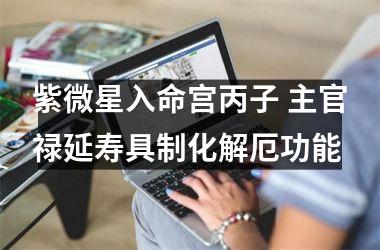 <h3>紫微星入命宫丙子 主官禄延寿具制化解厄功能
