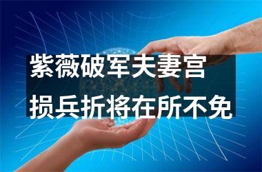<h3>紫薇破军夫妻宫 损兵折将在所不免