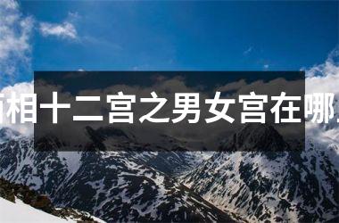 面相十二宫之男女宫在哪里